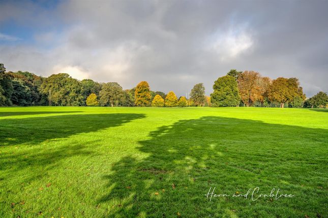 Pontcanna Field.Jpg
