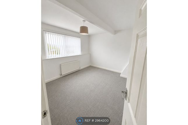 Bradley Terrace, Easington Lane, Houghton Le Spring photo 3