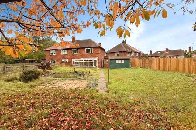 User_Edited_Photo-5Ff94830_User-Edited-502Ec75c-2B