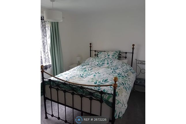 Spare Room Fresh And Comfy