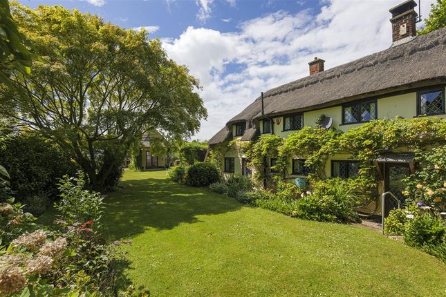 Frogs Hollow, Boughton-under-Blean photo 3