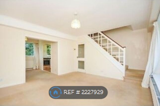 Lounge And Dining Room