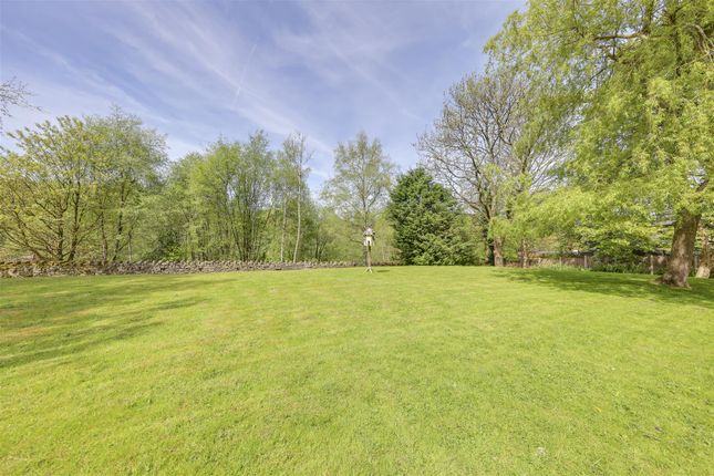 Lower Rear Garden Alt