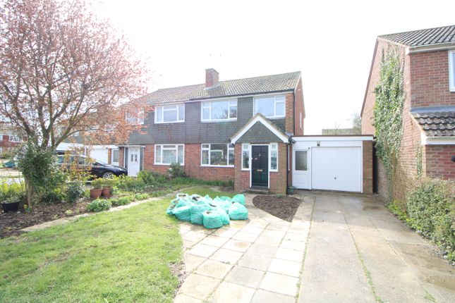 Semi-detached house to rent in Lucas Avenue, Fordham, Colchester