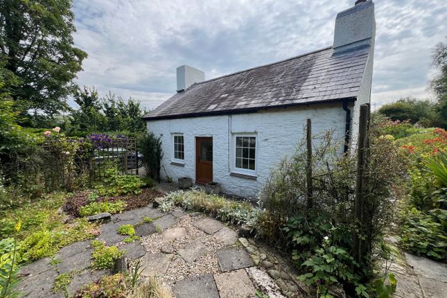 Glandwr, Pentrecwrt, Llandysul photo 4