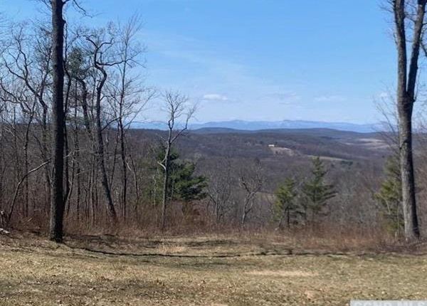 Thumbnail Land for sale in 0 Route 82, Ancramdale, New York, United States Of America