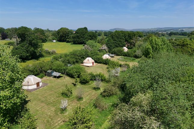 Thumbnail Leisure/hospitality for sale in Common Drove, Child Okeford, Blandford Forum