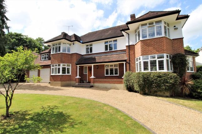 Thumbnail Detached house for sale in Crescent Drive, Shenfield, Brentwood