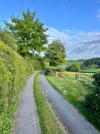 Private Drive