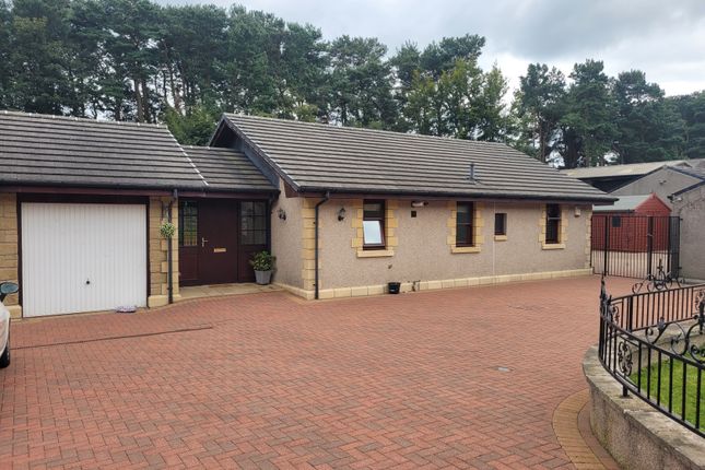 Thumbnail Bungalow to rent in Bowhouse Stables, Maddiston