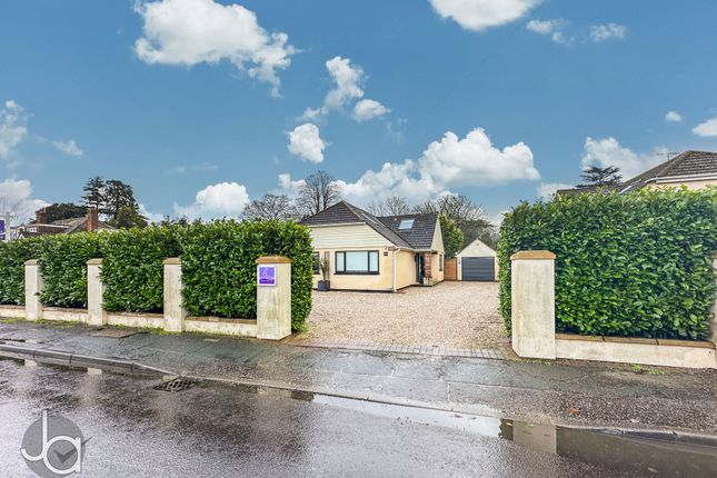 20250128_114141453_0.5