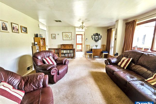 34, Pine Grove, Birmingham photo 4