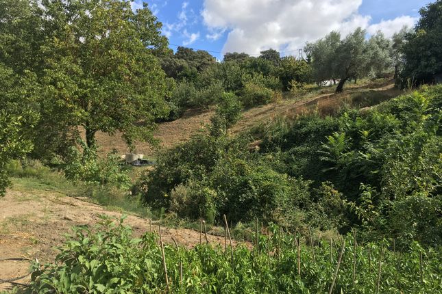 Finca for sale in Ronda, Andalucia, Spain