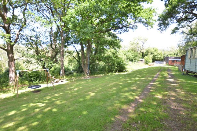 Waydown Cottage, Clayton Hill, Pyecombe photo 3