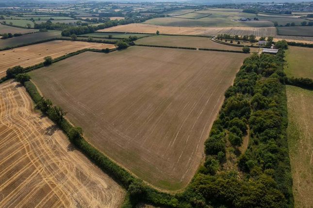 Home Farm, Rookery Lane, Chippenham photo 3