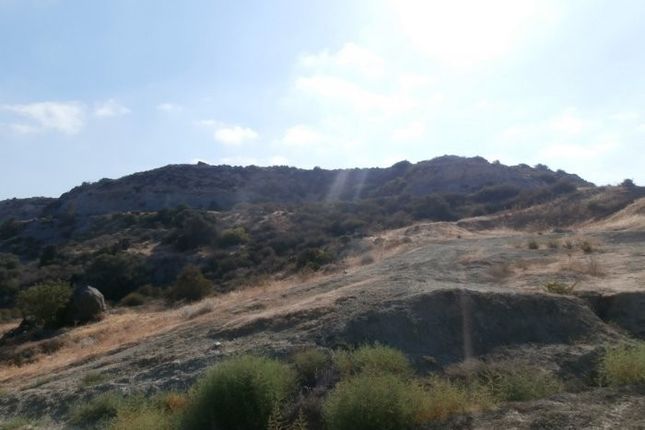 Land for sale in Kissonerga, Pafos, Cyprus
