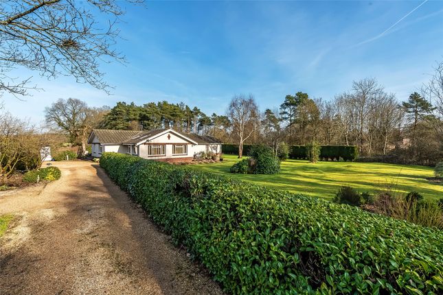 Foxwood,, Weare Street, Dorking photo 3