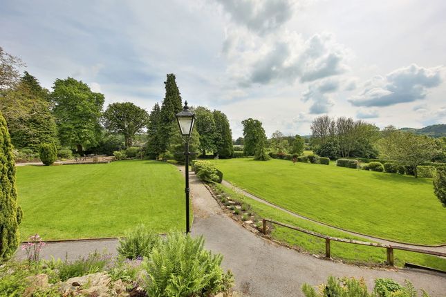 Communal Grounds_1716207950282