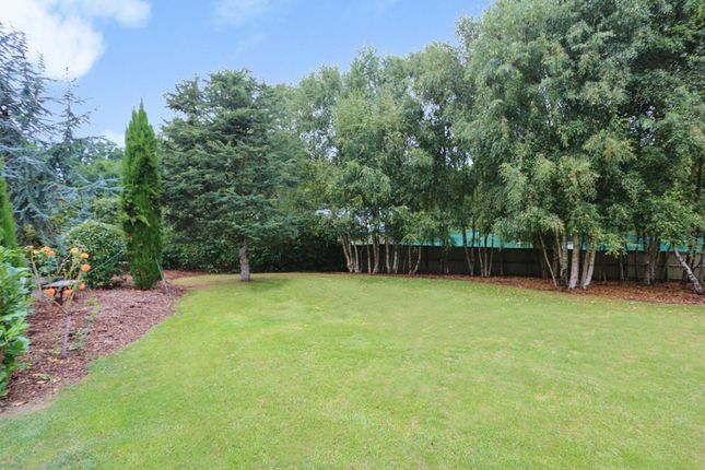 Woodlands Trampers Lane, Fareham photo 4