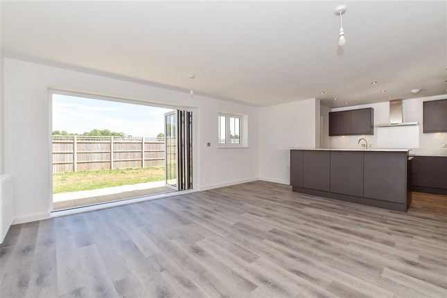 Internal Lifestyle Photograph