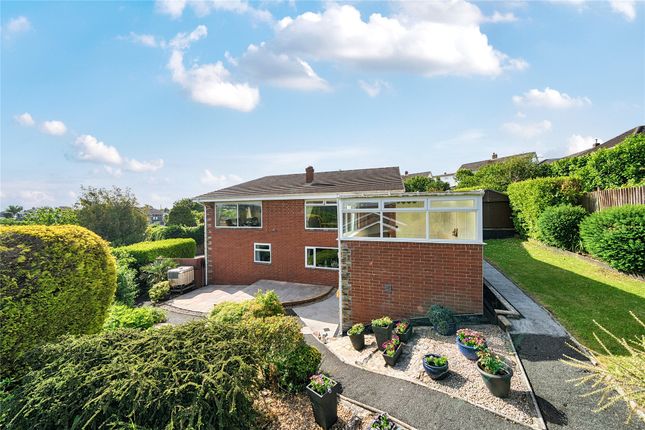 23, Whitehall Drive, Devon photo 4