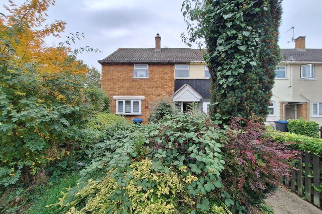 Whatsapp Image 2025-10-16 At 18.34.21 (1).Jpeg