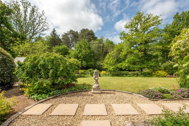 17, Becket Wood, Dorking photo 4