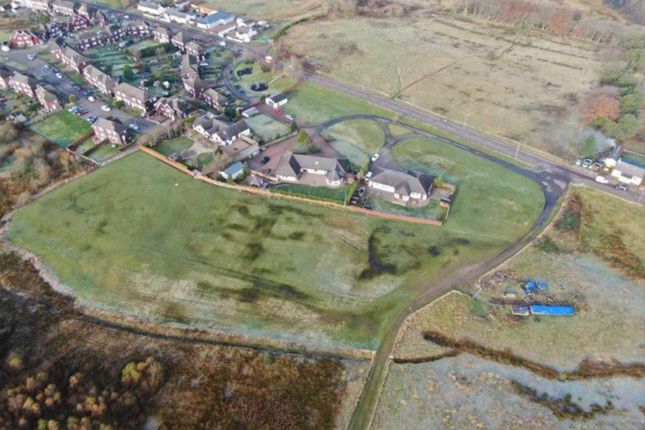 Aerial Shot