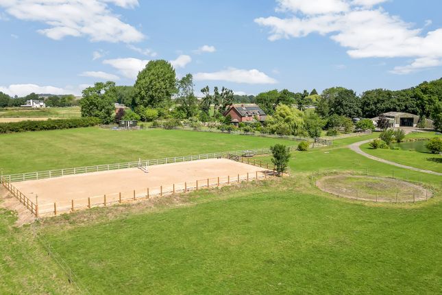 Dumble End Farm,, Dumble End Farm, Southwell photo 4
