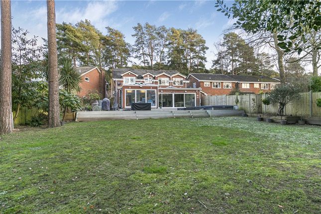 Detached house for sale in Heathpark Drive, Windlesham, Surrey