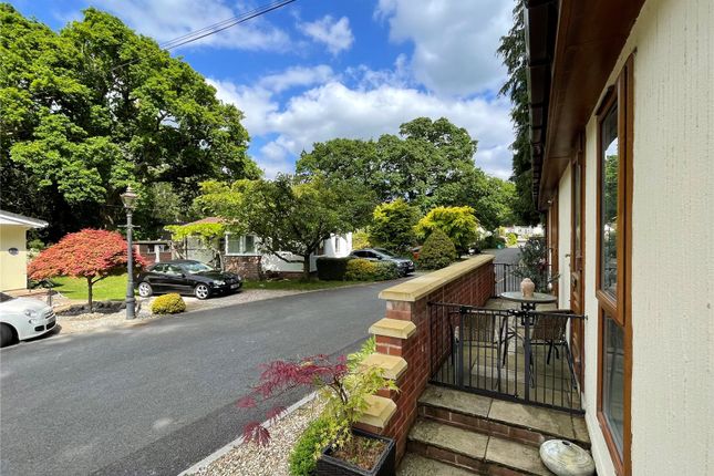 13, Devon Oaks, Magpie photo 4