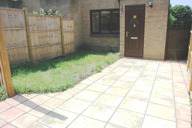 Garden Small.Jpg