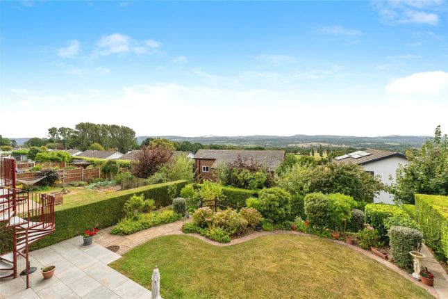 Garden And View