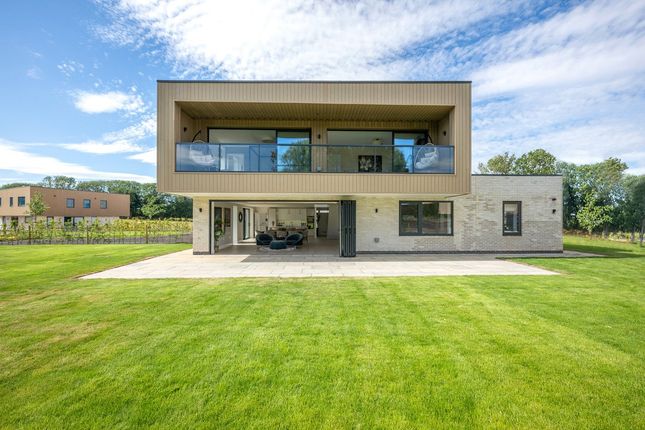 Show Home