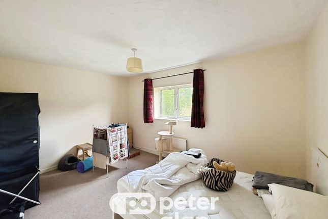 81, Cardiff photo 3