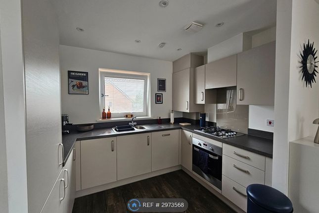 Nova Avenue, Faversham photo 4