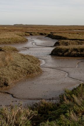 288184 - A0Op6000007A2P3Mai_N5_Crop.Jpg