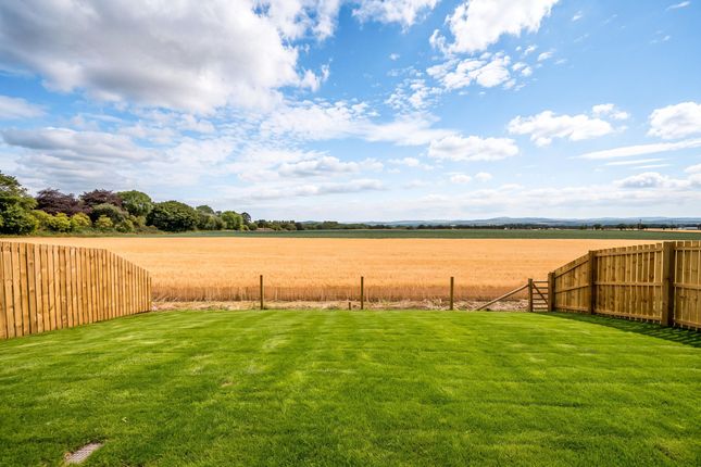 Plot 15 Oak Gardens, Newtyle, Blairgowrie PH12 8UZ, Newtyle photo 4