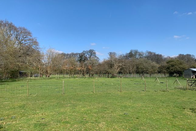 Land for sale in Shellbridge Road, Slindon Common, Arundel