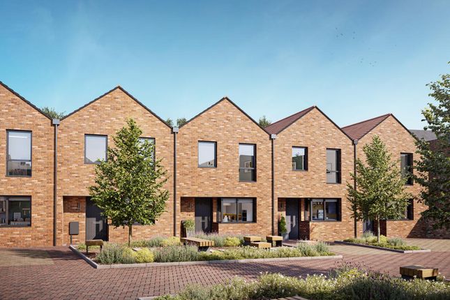 The Klein, Number 32