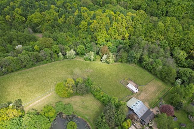 Aerial Image