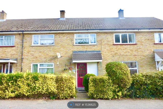 Thumbnail Terraced house to rent in Warwick Road, Stevenage