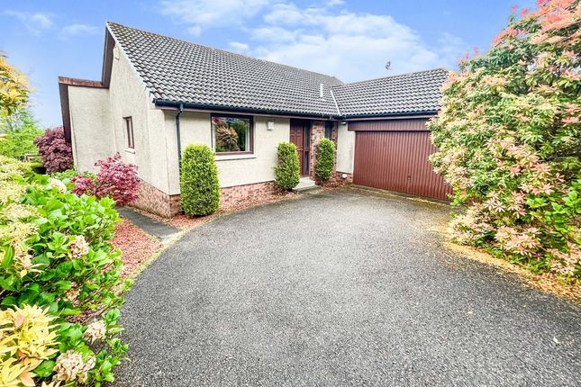 Thumbnail Detached house to rent in Balnafettack Place, Inverness