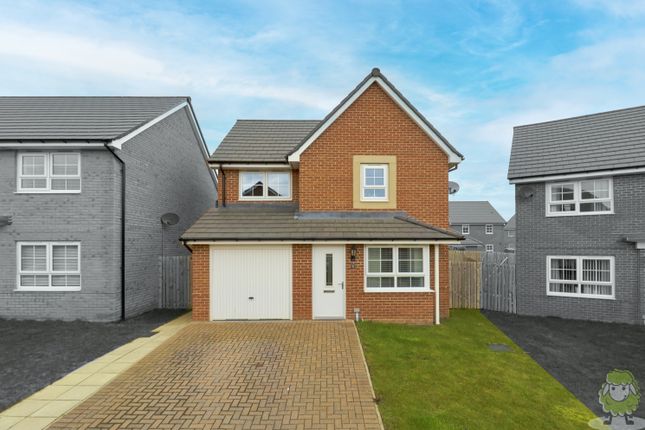 Thumbnail Detached house for sale in Ambrunes Close, Sunderland, Tyne And Wear