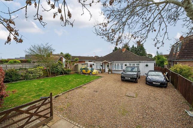 Thumbnail Detached bungalow for sale in Staines-Upon-Thames, Surrey