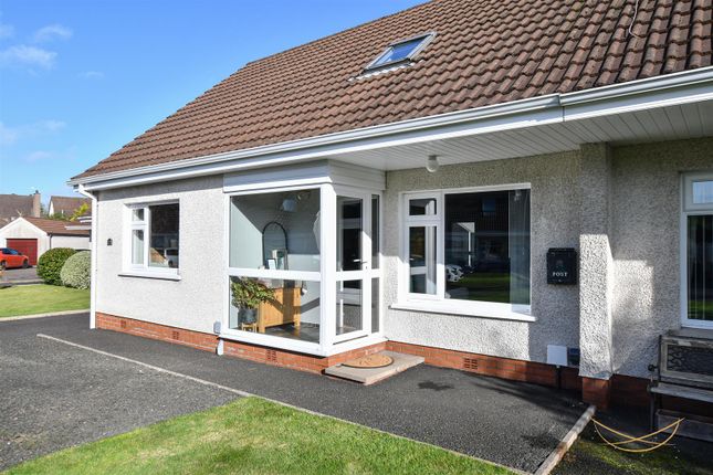 55, Beech Green, Ballyclare photo 3