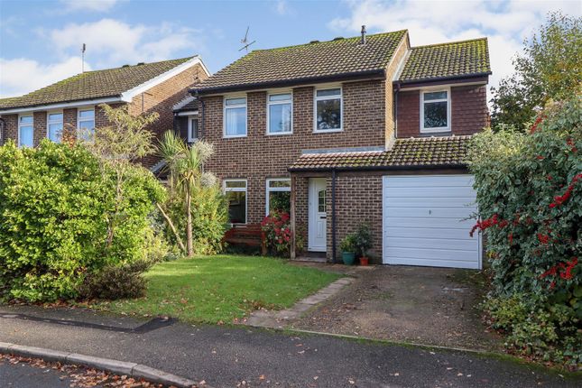 Thumbnail Link-detached house for sale in Speedwell Way, Horsham