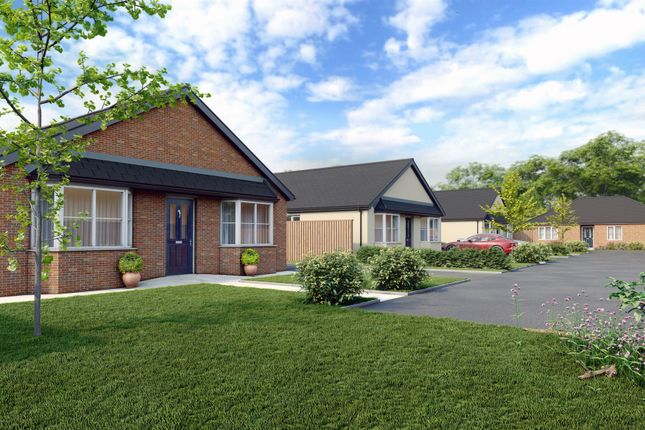 Thumbnail Detached bungalow for sale in Beatrice Road, Kettering