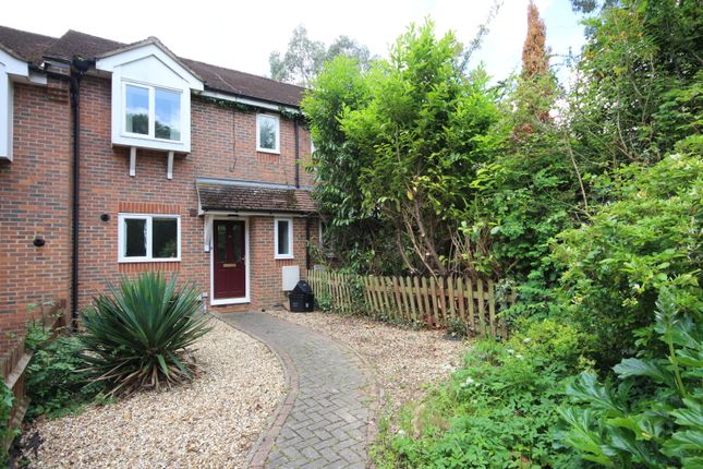 Thumbnail Terraced house to rent in Murray Road, Wokingham