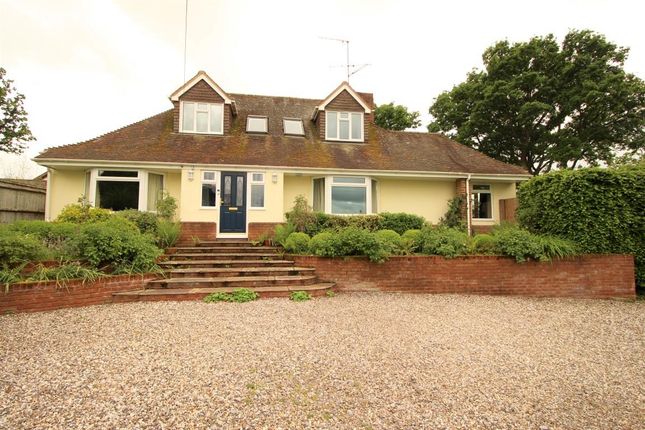 Thumbnail Detached bungalow for sale in Beech Road, Purley On Thames, Reading
